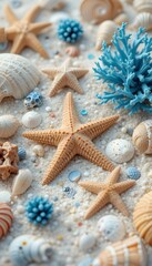 White isolated tropical marine life with starfish and seashells on summer beach sand