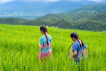 Group of pretty teenage travellers wearing custom-made Karen dresses in a natural green terraced rice fields at Pa Bong Piang rice fields, Mae Chaem, Doi Inthanon, Chiang Mai, Thailand.