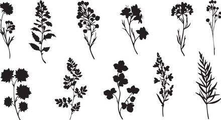 Fototapeta premium Vector art of an assortment of delicate floral silhouettes, capturing the essence of wildflowers and garden blooms in a minimalist style isolated on transparent background