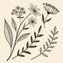 Line art flowers and leaves