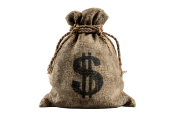 A burlap sack with a dollar sign. Wealth, finance, investment concept.