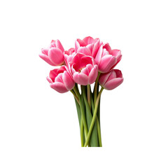 Fototapeta premium Delicate Pink Tulip Bouquet on Transparent Background