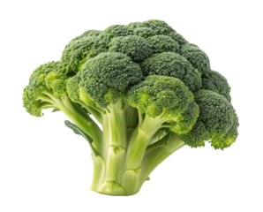 Fresh Green Broccoli Cluster with Nutrient-Rich Florets on a Transparent Background