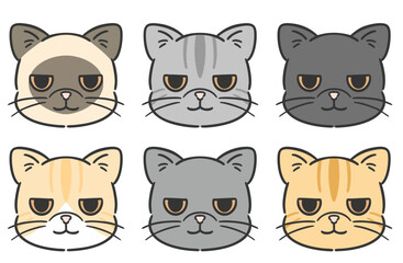 猫の顔バリエーションイラストセット　エキゾチックショートヘア
