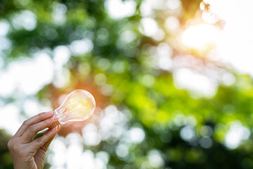 light bulb against nature, icons