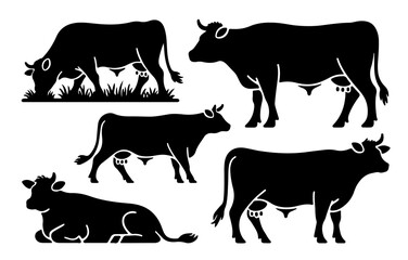 Black Angus Cattle Silhouettes in Grazing, Standing, and Herding Poses for Ranch Design Templates