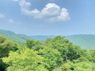 Obraz premium Mountain 山