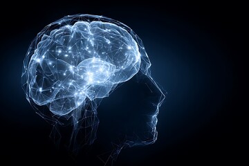 Human brain neural network connections intelligence