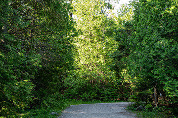 View of trail at Bruce Peninsula National Park in Tobermory.
