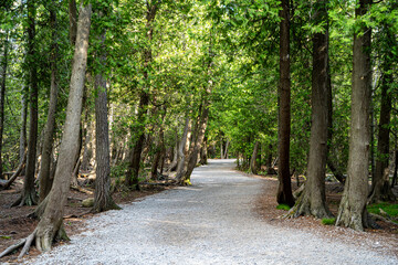 View of trail at Bruce Peninsula National Park in Tobermory.