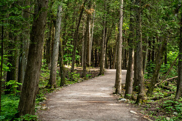 View of trail at Bruce Peninsula National Park in Tobermory.