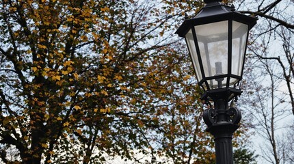 Black ornate street lamp in autumn, trees with yellow leaves, pale sky