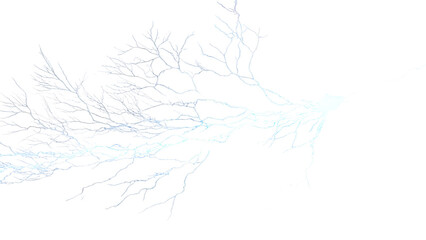 Photo of delicate frostcovered tree branches with a subtle blue glow, isolated on a pure transparent background