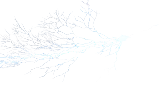 Photo of delicate frostcovered tree branches with a subtle blue glow, isolated on a pure transparent background