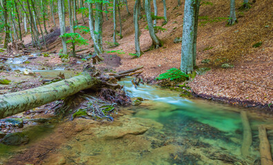 small river flow through the mountain canyon covered by red dry leaves
