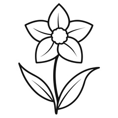 narcissus line art on-white-background