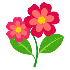 two primrose vector on-white-background