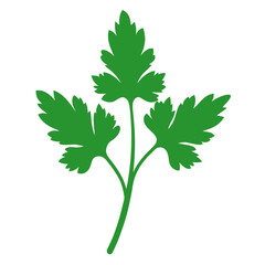 parsley silhouette on white background