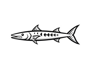Fototapeta premium Black and white illustration of a barracuda fish, a predatory marine animal.