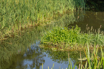 The small Grabia River in central Poland.