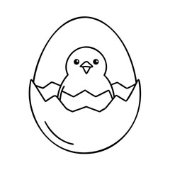 Baby chick hatching from cracked egg bird