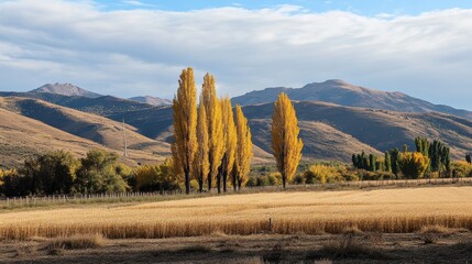 Golden Autumn Trees Against Rolling Hills Under Blue Sky