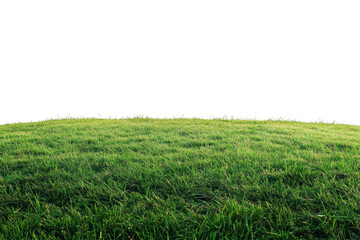Obraz premium Green Grass Hill: Lush green grass hill isolated on white background, perfect for compositing or as a nature element. 