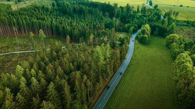 Cars driving on winding road through forest. Vehicles moving along curved highway surrounded by dense trees. Automobiles traveling on twisty route amidst woodland scenery