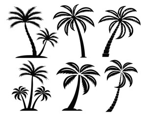 Collection of silhouetted palm trees in various shapes and forms isolated on white background.
