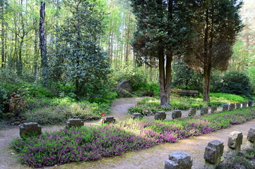 War Cemetery in the Village Essel, Lower Saxony