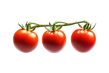 Fresh Ripe Red Tomatoes on the Vine Isolated on a Transparent Background
