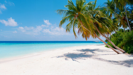 Vacation summer holidays background wallpaper - sunny tropical Caribbean paradise beach with white sand in Seychelles Praslin island Thailand style with palms
