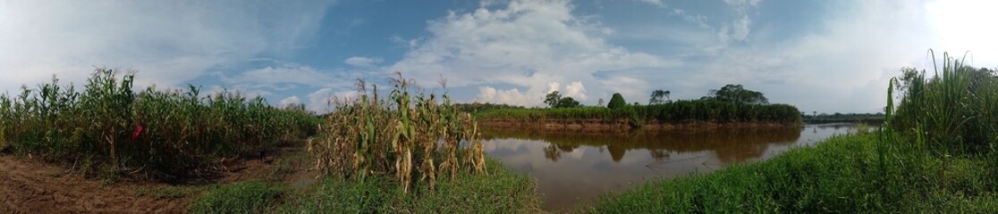 panorama of the river