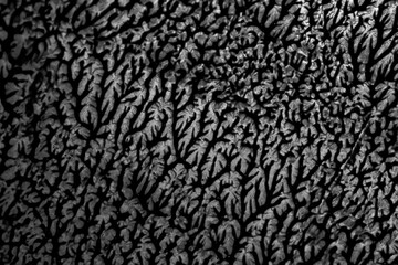 Black and white texture abstract background paint, shapes of branches or cracks on the surface to...