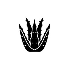 unique Aloe vera plant silhouette illustration isolated on white background