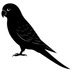 Parrot Silhouette – Black Vector of Tropical Bird Perched