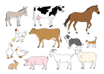 牧場のなかまたち_カラー