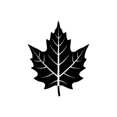 unique Neem leaf silhouette illustration isolated on white background