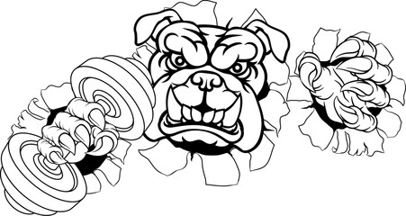 A bulldog dog weight lifting gym animal sports mascot holding a dumbbell in its claw