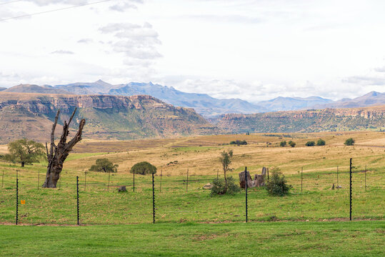 Maloti Mountains as seen from Stoppenbly Caravan Park