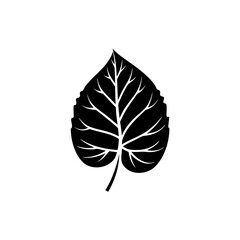 unique Hosta leaf silhouette illustration isolated on white background
