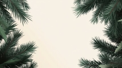 Evergreen branches frame, soft background, winter design, holiday card template