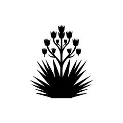 unique Yucca plant silhouette illustration isolated on white background