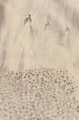 Sand Patterns on a beach, Pattern and texture of soft beach sand surface