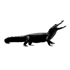 Naklejka premium Silhouette of crocodile with open jaw and extended tail, crawling pose, isolated on transparent background