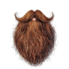 A magnificent long red beard on black background isolated on a transparent background