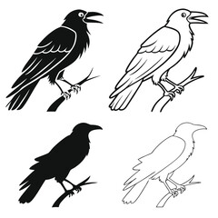Obraz premium vector set of birds