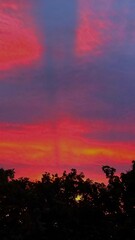 A breathtaking sunset featuring a vivid blend of red, orange, pink, and purple hues. Silhouetted trees line the horizon, enhancing the dramatic and peaceful atmosphere. 