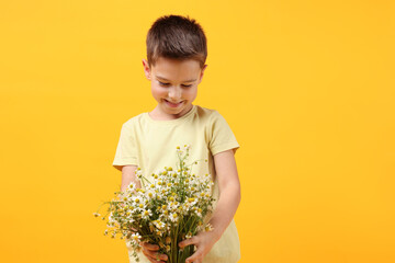 Smiling little boy with bouquet of beautiful chamomile flowers on yellow background