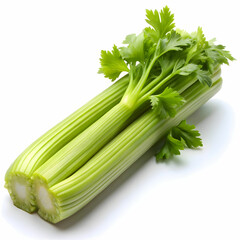 celery on white background